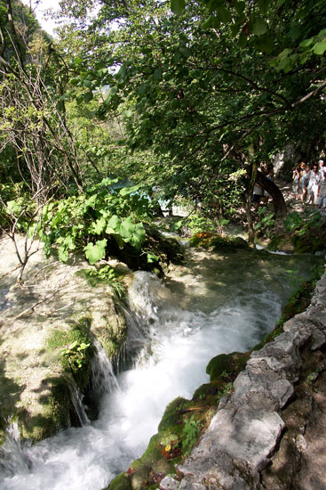 Obraz 138
